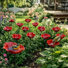 Tuinbloem |  Metalen Vogel en Bijenbad