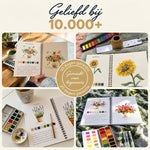 Voorgetekend Aquarel Werkboek