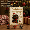 Teckelkalender | 24 Dagen een Nieuwe 3D KerstTeckel Uitpakken