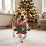 Kerstbal Hondenspeeltje | Speels Kerstplezier voor je Hond